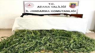 Adana’da bahçelerde uyuşturucu yetiştiren 5 şüpheli gözaltına alındı