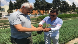 Adana Orman Bölge Müdürü Yılmaz, fidanlıkları ziyaret etti
