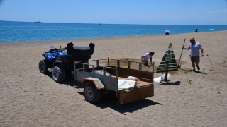 Antalya’da denizde ölü yeşil deniz kaplumbağası bulundu