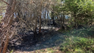 Mersin’in Tarsus ilçesinde iki noktada çıkan orman yangınları kontrol altına alındı