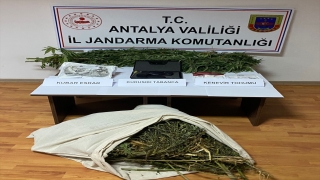Antalya’da serada uyuşturucu yetiştirdiği iddiasıyla 1 kişi gözaltına alındı