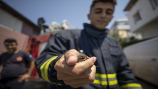 Antalya’da duvara sıkışan kuş yavrusu itfaiye ekiplerince kurtarıldı