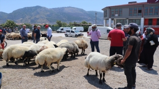 Adana, Mersin, Hatay ve Osmaniye’de kurbanlık pazarlarında yoğunluk sürüyor
