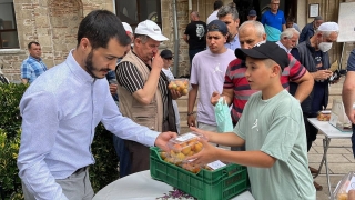 Isparta’da öğrenciler, okulun bahçesinde ilaç kullanmadan kayısı yetiştirdi