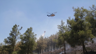 Hatay’da çıkan örtü yangını kontrol altına alındı