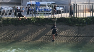 Adana’da sulama kanalında erkek cesedi bulundu