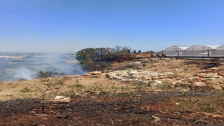 Antalya’da makilik alanda çıkan yangın seralarda hasara neden oldu