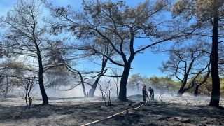 Antalya’da çıkan orman yangınına havadan ve karadan müdahale ediliyor