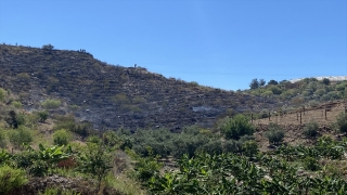 Antalya’da badem bahçesinde çıkan yangın söndürüldü