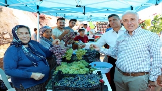 Mersin’de ”Esenli Üzüm Şenliği” düzenlendi