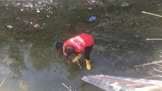 Osmaniye’de sahipsiz köpek düştüğü dere yatağından çıkarıldı