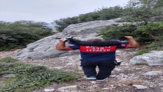 Osmaniye’de kayalıklarda mahsur kalan oğlağı itfaiye çıkardı