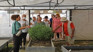 Antalya’da tıbbi aromatik bitki yetiştiriciliği kursuna ilgi artıyor