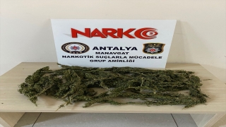 Manavgat’ta uyuşturucu operasyonunda 1 kişi yakalandı