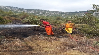 Adana’da ormanlık alanda çıkan yangın söndürüldü