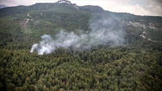 Osmaniye’de ormanlık ve örtülük alanda çıkan yangına müdahale ediliyor