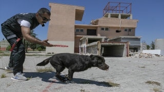 İtfaiyenin K9 köpeği eğitmenleri Mersin’de bir araya geldi