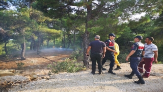Adana’da ormanlık alanda çıkan yangın söndürüldü