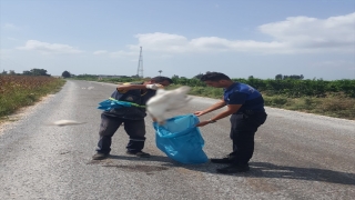 Tarsus’ta çiftçinin kayıp kazları telef olmuş halde bulundu