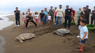 Deniz kaplumbağaları ”Mavi” ve ”Deniz” tedavi edilip mavi sulara uğurlandı
