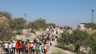 Gaziantep’te 400 öğrenci Zeugma’yı gezdi