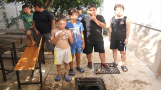 Antalya’da rögarda mahsur kalan kedi yavruları kurtarıldı