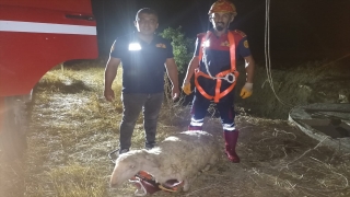 Isparta’da kuyuya düşen koyunu itfaiye kurtardı