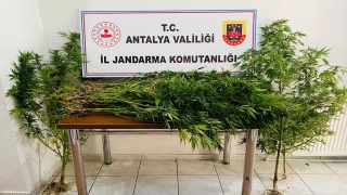 Antalya’da uyuşturucu operasyonunda 2 kişi yakalandı