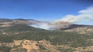 Kahramanmaraş’ta çıkan orman yangınına müdahale ediliyor