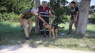 Polisler, ”can dostlar” için 7 gün 24 saat görev başında