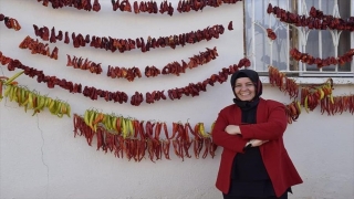 Elmalı’da kadın kooperatifi kurutulmuş sebze ve meyve alıyor