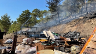 Kaş’ta ormanlık alanda çıkan yangın kontrol altına alındı