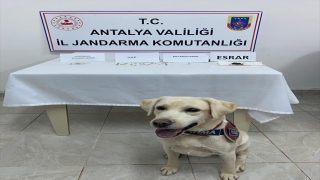 Alanya’da uyuşturucu bulunan araçtaki 4 kişi gözaltına alındı