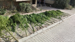 Hatay’da evlerinde uyuşturucu bulunan 2 zanlıdan 1’i tutuklandı