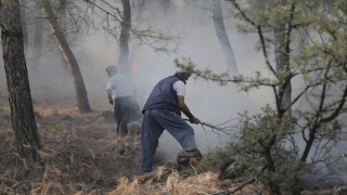 Hatay’da ormanlık alanda çıkan yangına müdahale ediliyor