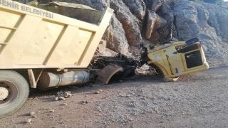Adana’da kayaya çarpan kamyonun şoförü yaralandı