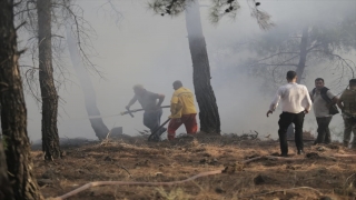 Hatay’da ormanlık alanda çıkan yangın kontrol altına alındı