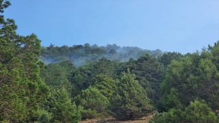 Isparta’da çıkan orman yangını kontrol altına alındı