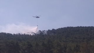 Antalya’da ormanlık alanda yangın çıktı