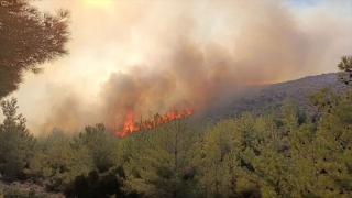 Mersin’de çıkan orman yangınına müdahale ediliyor