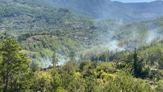 Alanya’da orman yangını çıktı