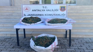 Serik’te uyuşturucu operasyonunda 1 kişi gözaltına alındı