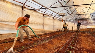 Milletvekili Uslu, Kumluca’da çiftçilerle bir araya geldi
