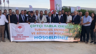 Adana’da narenciye alanlarına faydalı böcek salındı