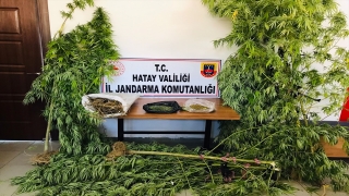Hatay’da evinde uyuşturucu bulunan şüpheli yakalandı