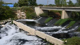 Osmaniye’de atık su döküldüğü iddia edilen Savrun Çayı’ndan numune alındı