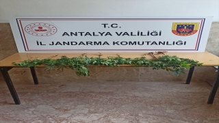 Antalya’da uyuşturucu operasyonlarında 3 kişi yakalandı
