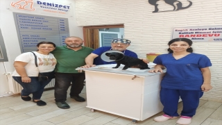 Adana’da köpeğin mesanesinden 55 taş çıkartıldı