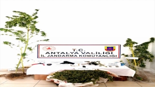 Alanya’da uyuşturucu operasyonunda 1 şüpheli yakalandı