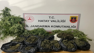 Hatay’da evlerinde uyuşturucu bulunan 2 zanlı yakalandı